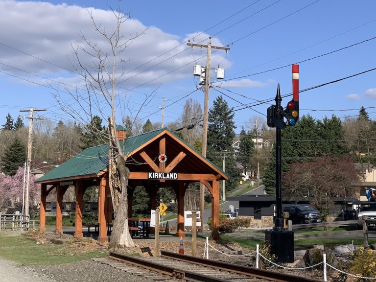 Cross Kirkland Corridor native plant restoration project|